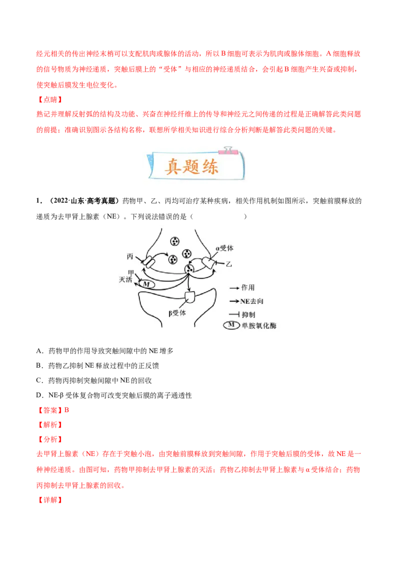 考向17神经调节-备战2023年高考生物一轮复习考点微专题（全国通用）（解析版）(1)_通用版（老高考）复习资料_2023年复习资料_一轮复习