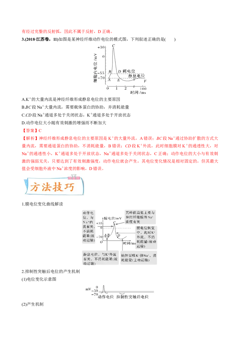 考向17神经调节-备战2023年高考生物一轮复习考点微专题（全国通用）（解析版）(1)_通用版（老高考）复习资料_2023年复习资料_一轮复习