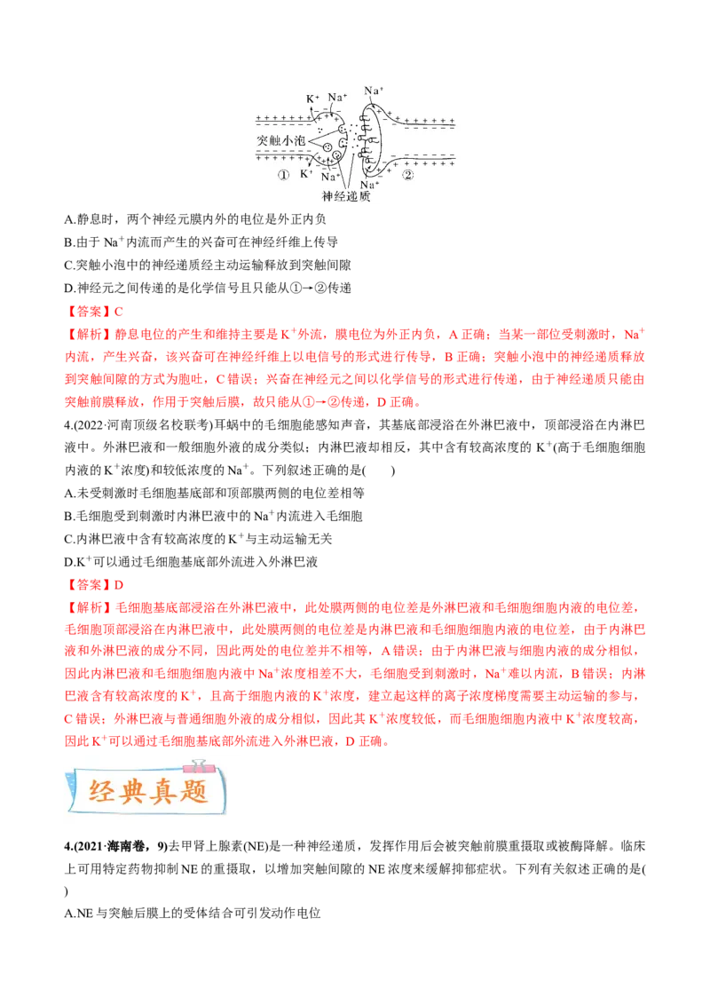 考向17神经调节-备战2023年高考生物一轮复习考点微专题（全国通用）（解析版）(1)_通用版（老高考）复习资料_2023年复习资料_一轮复习