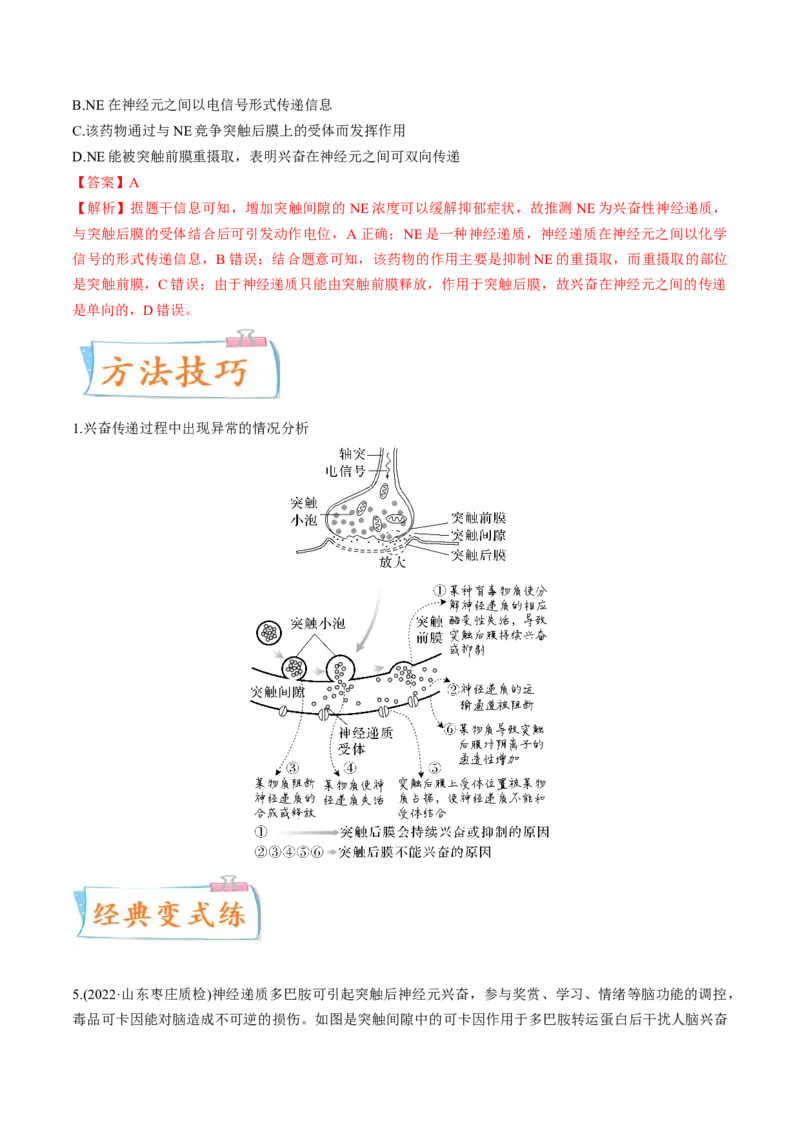 考向17神经调节-备战2023年高考生物一轮复习考点微专题（全国通用）（解析版）(1)_通用版（老高考）复习资料_2023年复习资料_一轮复习