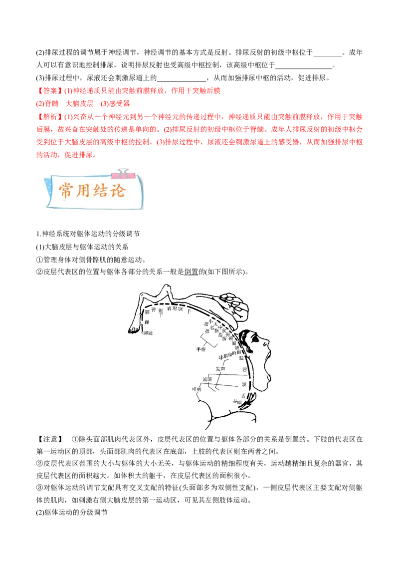 考向17神经调节-备战2023年高考生物一轮复习考点微专题（全国通用）（解析版）(1)_通用版（老高考）复习资料_2023年复习资料_一轮复习