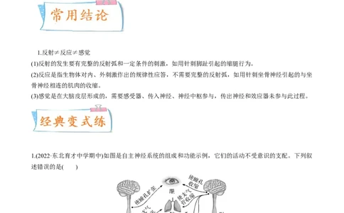 考向17神经调节-备战2023年高考生物一轮复习考点微专题（全国通用）（解析版）(1)_通用版（老高考）复习资料_2023年复习资料_一轮复习