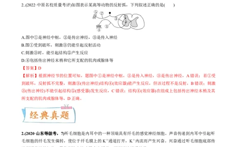 考向17神经调节-备战2023年高考生物一轮复习考点微专题（全国通用）（解析版）(1)_通用版（老高考）复习资料_2023年复习资料_一轮复习