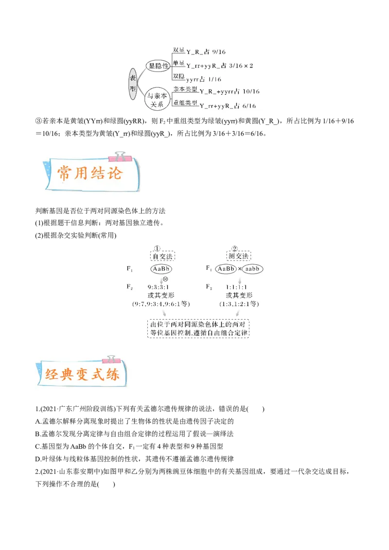 考向10基因的自由组合定律-备战2023年高考生物一轮复习考点微专题（全国通用）（原卷版）(1)_通用版（老高考）复习资料_2023年复习资料_一轮复习