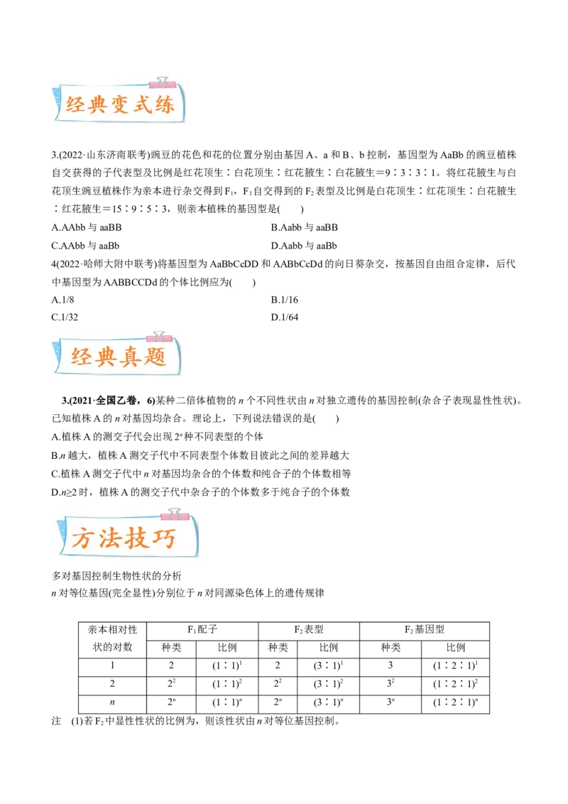 考向10基因的自由组合定律-备战2023年高考生物一轮复习考点微专题（全国通用）（原卷版）(1)_通用版（老高考）复习资料_2023年复习资料_一轮复习