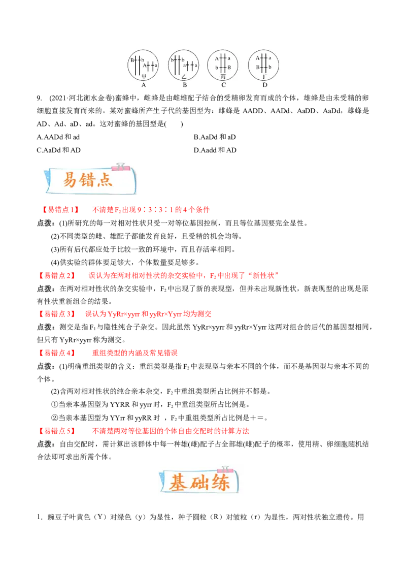 考向10基因的自由组合定律-备战2023年高考生物一轮复习考点微专题（全国通用）（原卷版）(1)_通用版（老高考）复习资料_2023年复习资料_一轮复习