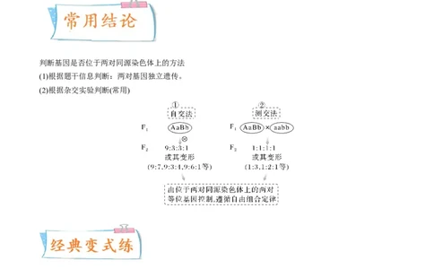 考向10基因的自由组合定律-备战2023年高考生物一轮复习考点微专题（全国通用）（原卷版）(1)_通用版（老高考）复习资料_2023年复习资料_一轮复习