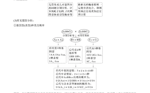 考向10基因的自由组合定律-备战2023年高考生物一轮复习考点微专题（全国通用）（原卷版）(1)_通用版（老高考）复习资料_2023年复习资料_一轮复习