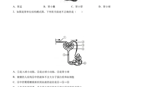专题13人体内废物的排出（习题精练）-省心备考2024年中考生物一轮复习精讲精练（全国通用）（原卷版）_6生物中考复习_2024年中考复习资料_一轮复习资料_配套练习（原卷版+解析版）