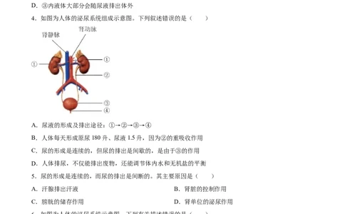 专题13人体内废物的排出（习题精练）-省心备考2024年中考生物一轮复习精讲精练（全国通用）（原卷版）_6生物中考复习_2024年中考复习资料_一轮复习资料_配套练习（原卷版+解析版）