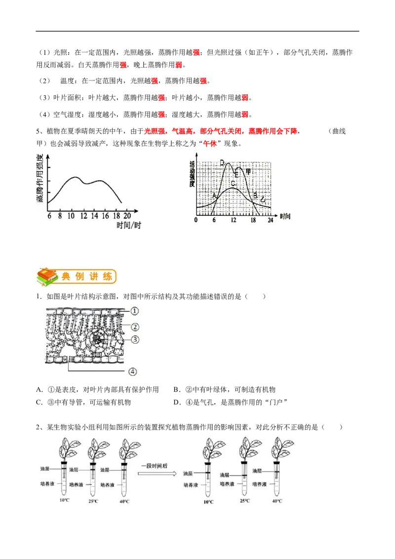 专题07绿色植物与生物圈的水循环-2022年中考生物一轮复习抓重点考典型（人教版）（原卷版）_6生物中考复习_2023年中考复习资料_一轮复习_2022年中考生物一轮复习抓重点考典型（人教版）