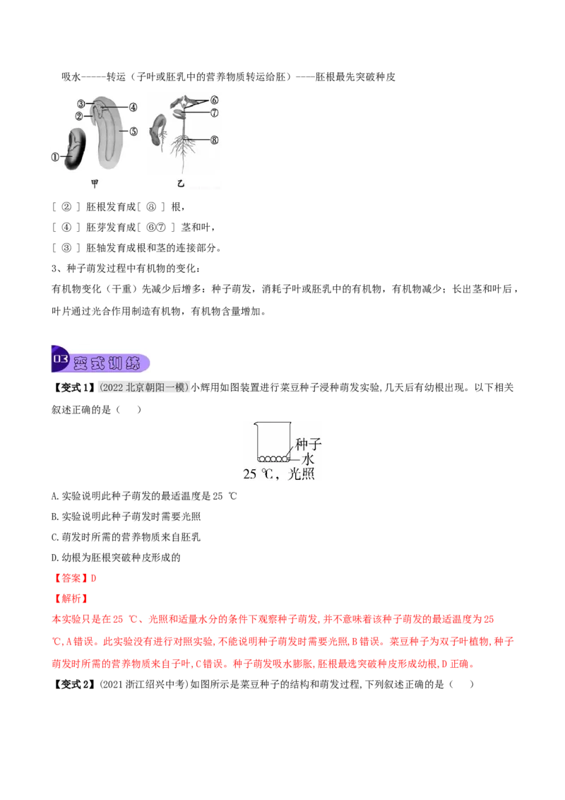 专题08被子植物的一生（解析版）_6生物中考复习_2023年中考复习资料_专项复习_2023年中考生物总复习真题探究与变式训练（全国通用）