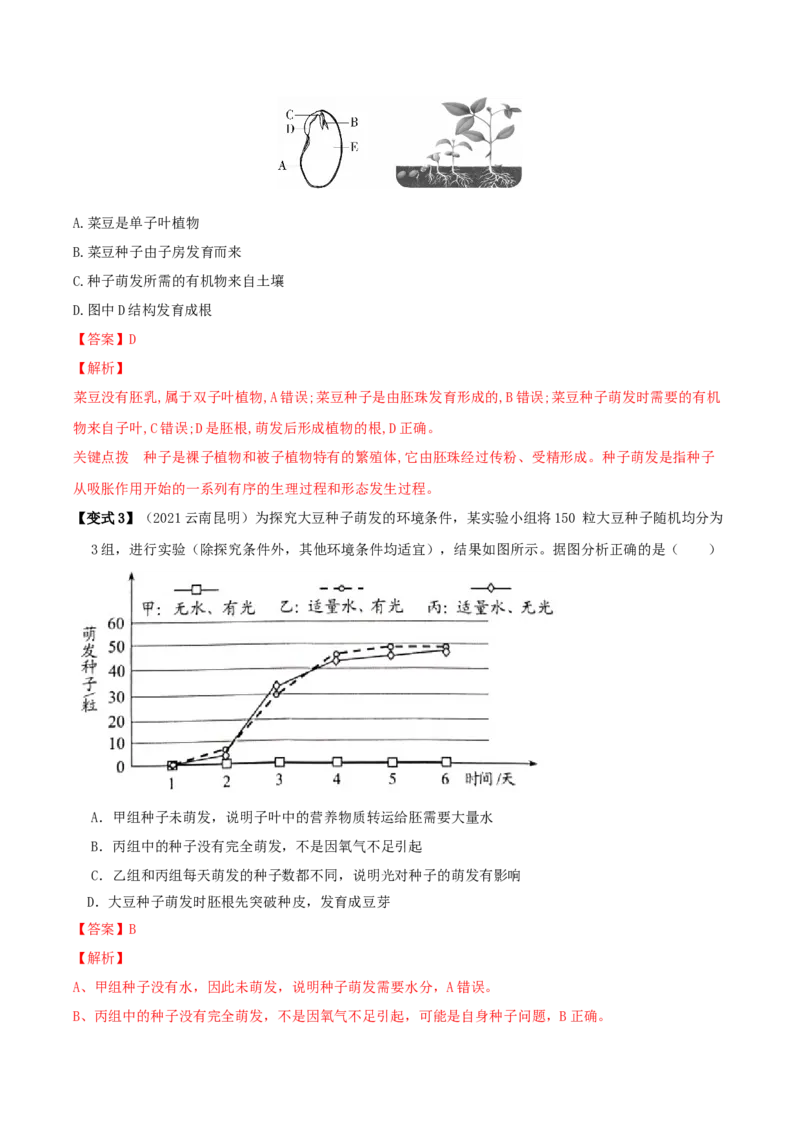 专题08被子植物的一生（解析版）_6生物中考复习_2023年中考复习资料_专项复习_2023年中考生物总复习真题探究与变式训练（全国通用）