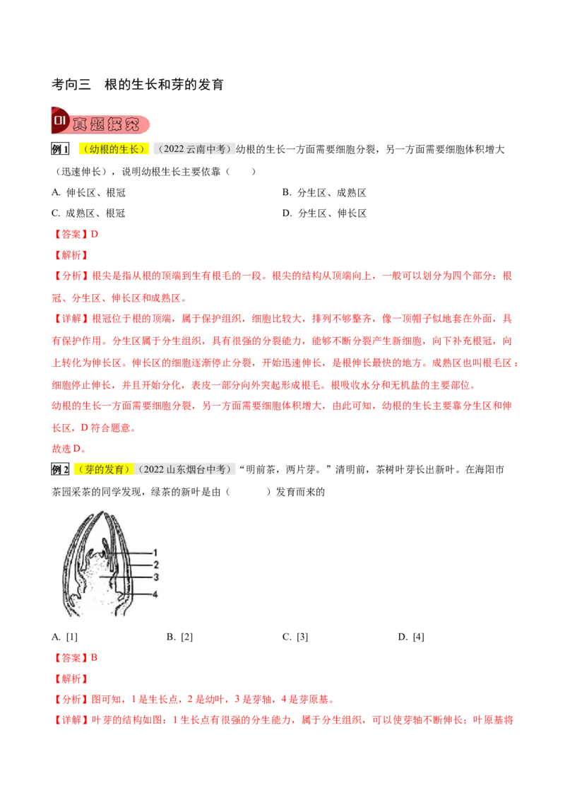 专题08被子植物的一生（解析版）_6生物中考复习_2023年中考复习资料_专项复习_2023年中考生物总复习真题探究与变式训练（全国通用）