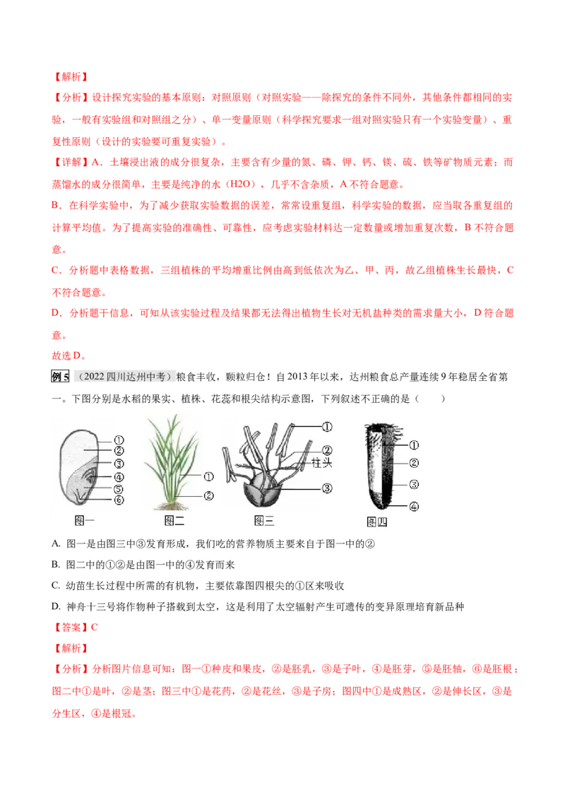 专题08被子植物的一生（解析版）_6生物中考复习_2023年中考复习资料_专项复习_2023年中考生物总复习真题探究与变式训练（全国通用）