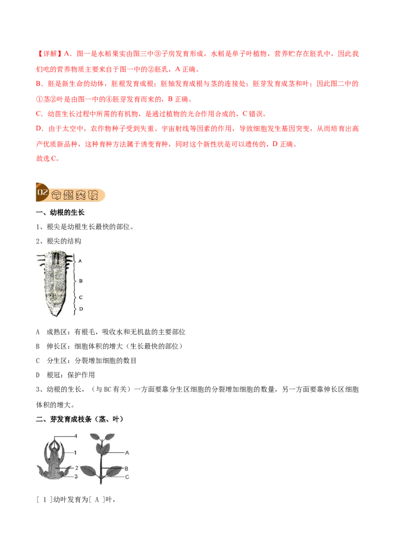 专题08被子植物的一生（解析版）_6生物中考复习_2023年中考复习资料_专项复习_2023年中考生物总复习真题探究与变式训练（全国通用）