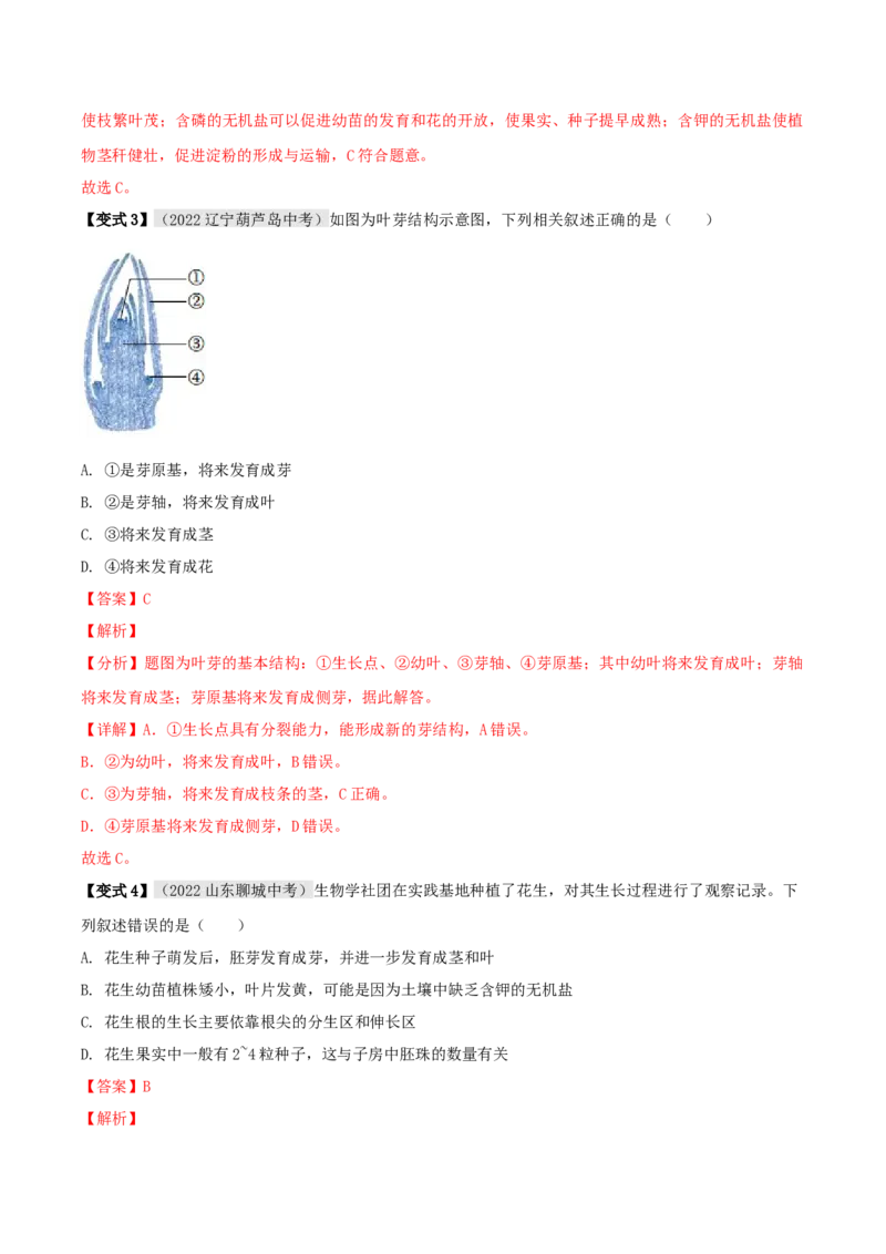 专题08被子植物的一生（解析版）_6生物中考复习_2023年中考复习资料_专项复习_2023年中考生物总复习真题探究与变式训练（全国通用）