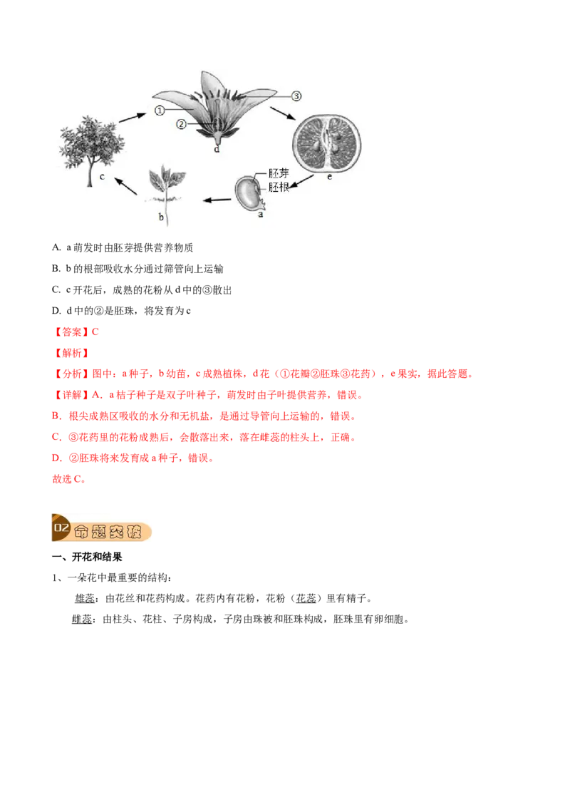 专题08被子植物的一生（解析版）_6生物中考复习_2023年中考复习资料_专项复习_2023年中考生物总复习真题探究与变式训练（全国通用）