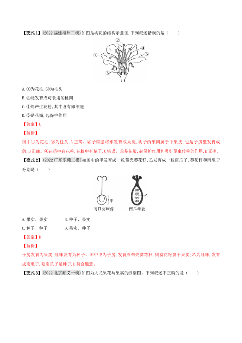 专题08被子植物的一生（解析版）_6生物中考复习_2023年中考复习资料_专项复习_2023年中考生物总复习真题探究与变式训练（全国通用）