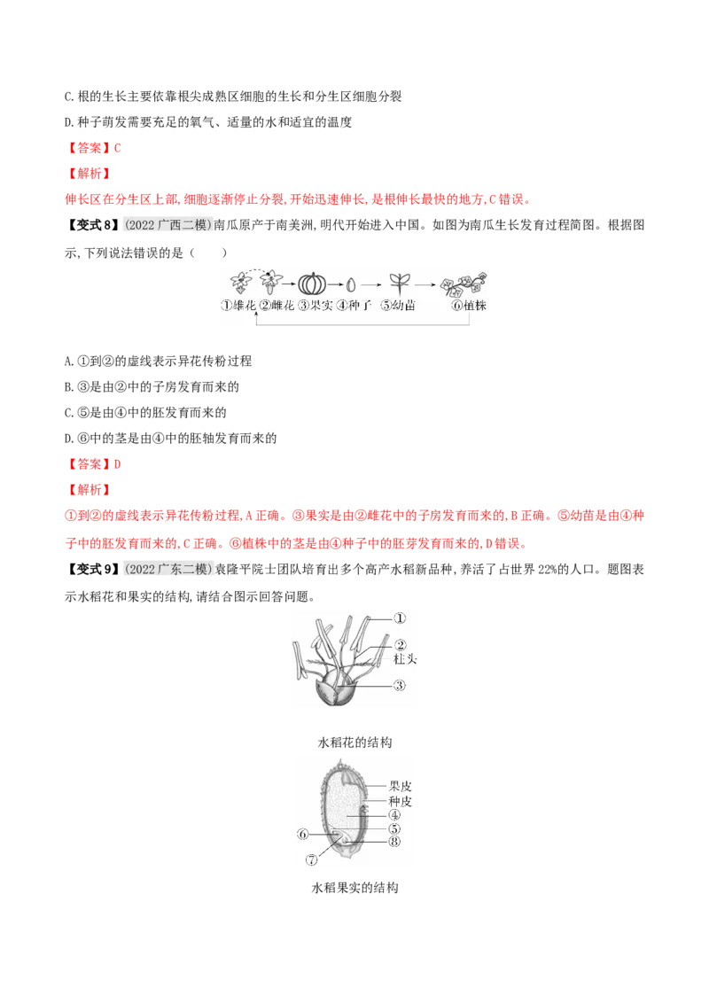 专题08被子植物的一生（解析版）_6生物中考复习_2023年中考复习资料_专项复习_2023年中考生物总复习真题探究与变式训练（全国通用）