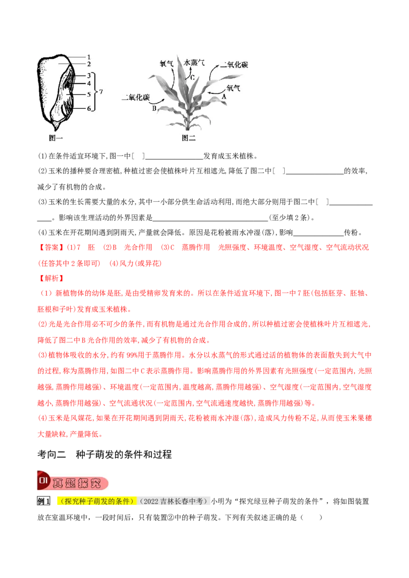 专题08被子植物的一生（解析版）_6生物中考复习_2023年中考复习资料_专项复习_2023年中考生物总复习真题探究与变式训练（全国通用）
