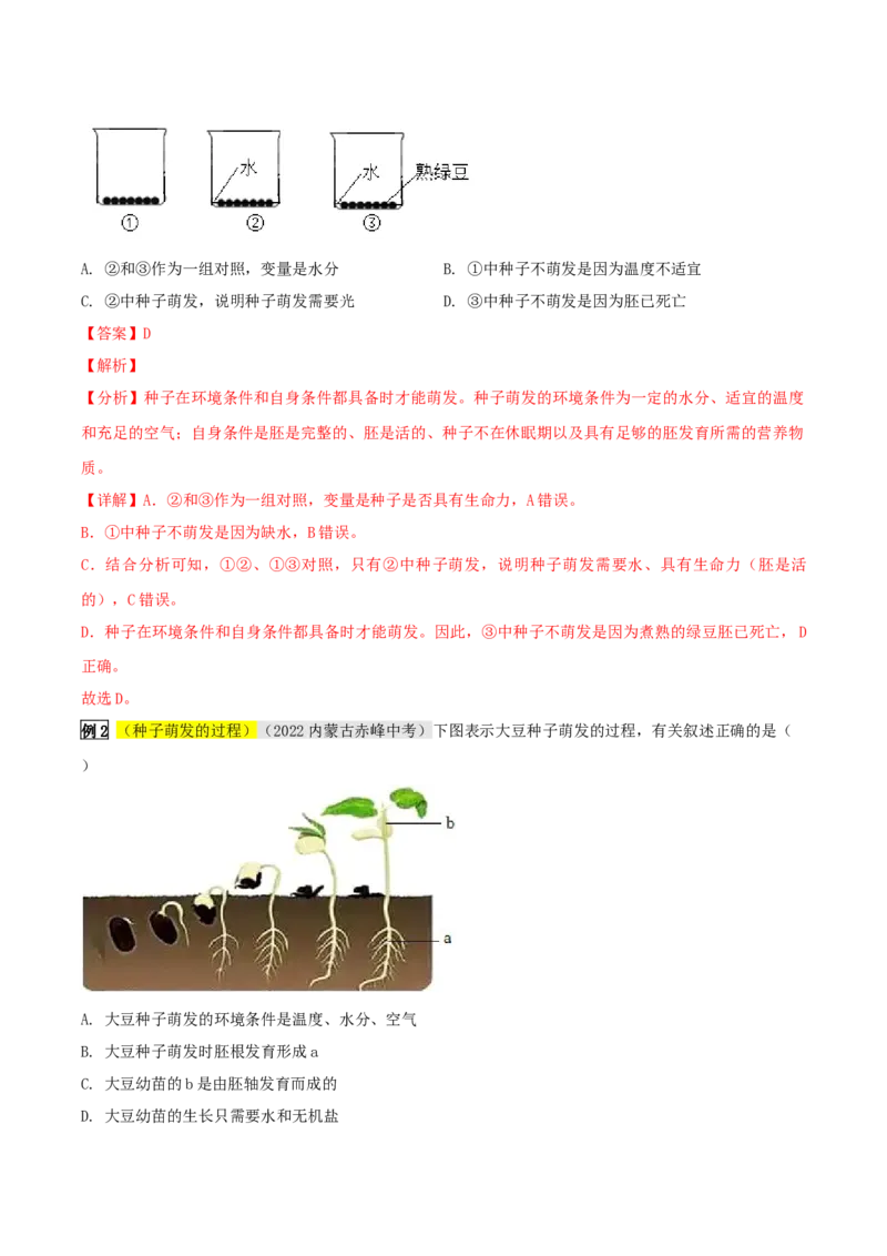 专题08被子植物的一生（解析版）_6生物中考复习_2023年中考复习资料_专项复习_2023年中考生物总复习真题探究与变式训练（全国通用）