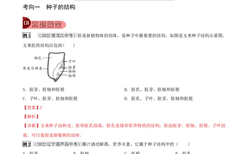 专题08被子植物的一生（解析版）_6生物中考复习_2023年中考复习资料_专项复习_2023年中考生物总复习真题探究与变式训练（全国通用）