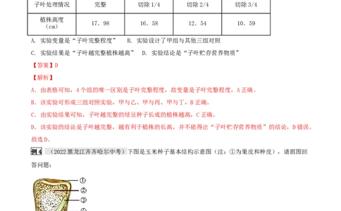 专题08被子植物的一生（解析版）_6生物中考复习_2023年中考复习资料_专项复习_2023年中考生物总复习真题探究与变式训练（全国通用）