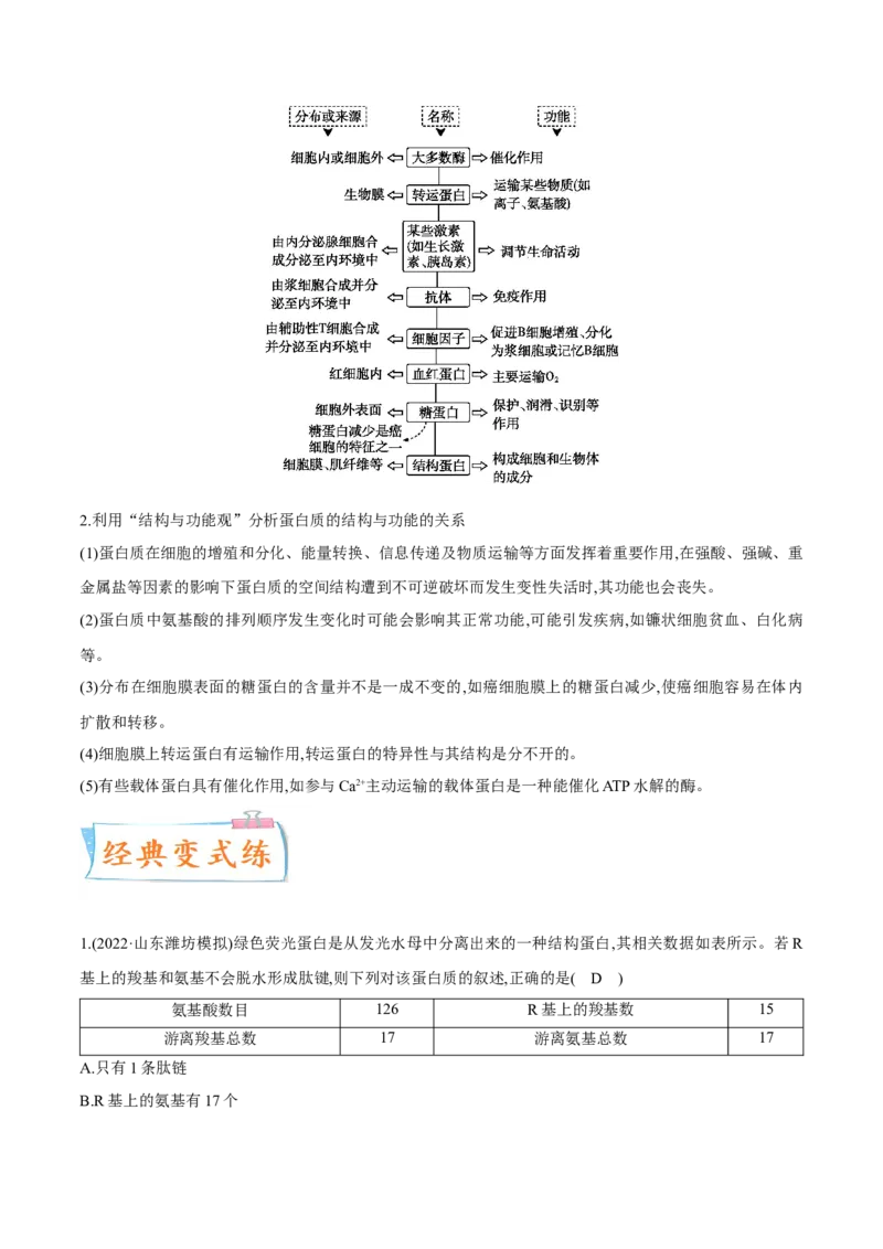 考向01组成细胞的分子-备战2023年高考生物一轮复习考点微专题（全国通用）（解析版）_通用版（老高考）复习资料_2023年复习资料_一轮复习