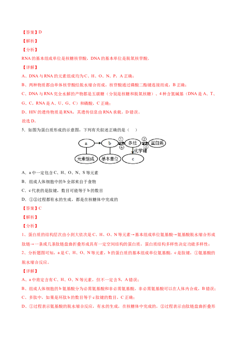 考向01组成细胞的分子-备战2023年高考生物一轮复习考点微专题（全国通用）（解析版）_通用版（老高考）复习资料_2023年复习资料_一轮复习