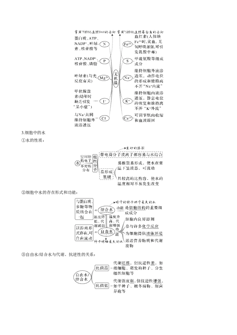 考向01组成细胞的分子-备战2023年高考生物一轮复习考点微专题（全国通用）（解析版）_通用版（老高考）复习资料_2023年复习资料_一轮复习
