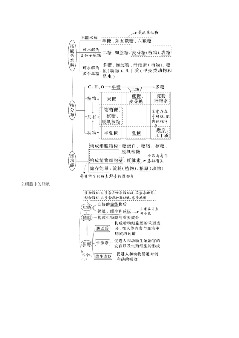 考向01组成细胞的分子-备战2023年高考生物一轮复习考点微专题（全国通用）（解析版）_通用版（老高考）复习资料_2023年复习资料_一轮复习