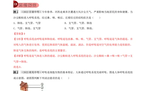 专题13人体的呼吸（解析版）_6生物中考复习_2023年中考复习资料_专项复习_2023年中考生物总复习真题探究与变式训练（全国通用）
