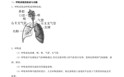 专题13人体的呼吸（解析版）_6生物中考复习_2023年中考复习资料_专项复习_2023年中考生物总复习真题探究与变式训练（全国通用）