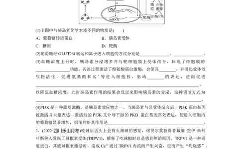 考前特训　专项三(三)个体稳态_通用版（老高考）复习资料_2023年复习资料_二轮复习_2023年高考生物二轮复习讲义+课件（全国版）_2023年高考生物二轮复习讲义（全国版）_学生版_考前特训