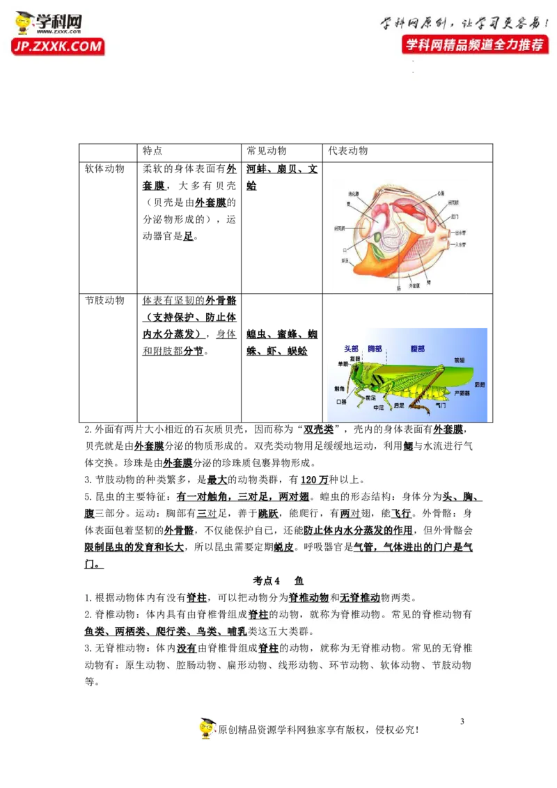专题12动物的主要类群（知识帮）-备战2023年中考生物一轮复习考点帮（全国通用）_6生物中考复习_2023年中考复习资料_一轮复习