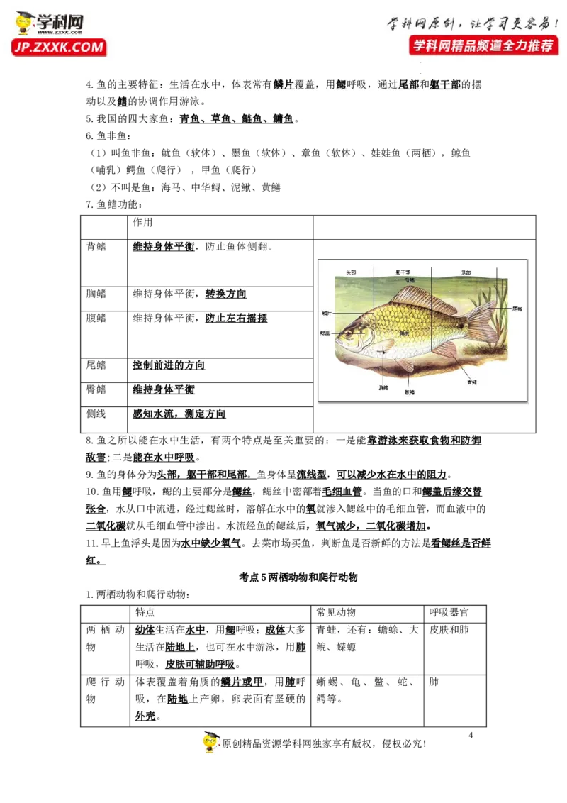 专题12动物的主要类群（知识帮）-备战2023年中考生物一轮复习考点帮（全国通用）_6生物中考复习_2023年中考复习资料_一轮复习