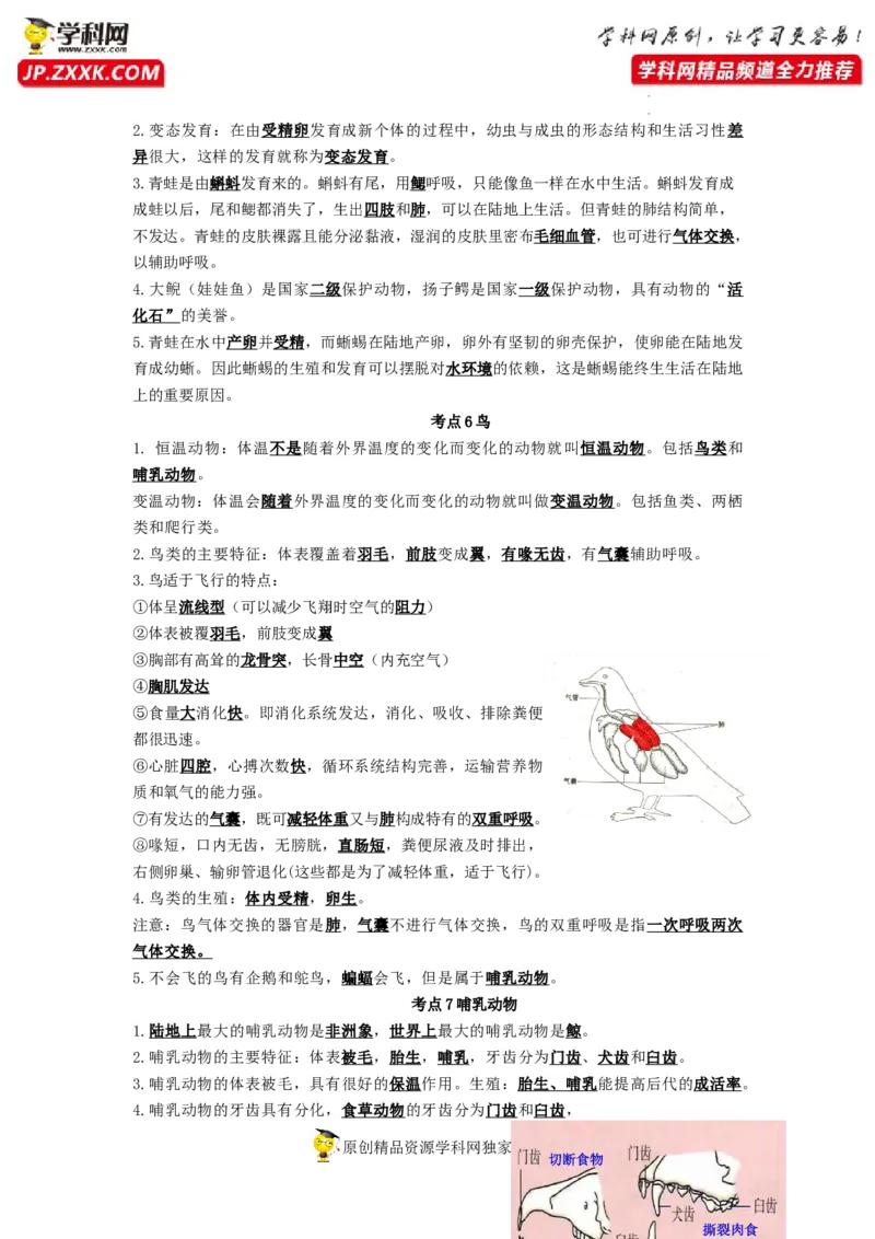 专题12动物的主要类群（知识帮）-备战2023年中考生物一轮复习考点帮（全国通用）_6生物中考复习_2023年中考复习资料_一轮复习
