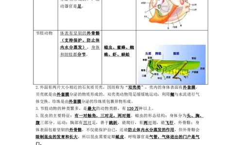 专题12动物的主要类群（知识帮）-备战2023年中考生物一轮复习考点帮（全国通用）_6生物中考复习_2023年中考复习资料_一轮复习