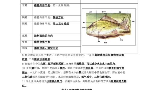 专题12动物的主要类群（知识帮）-备战2023年中考生物一轮复习考点帮（全国通用）_6生物中考复习_2023年中考复习资料_一轮复习