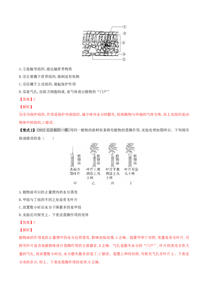 专题09绿色植物与生物圈的水循环（解析版）_6生物中考复习_2023年中考复习资料_专项复习_2023年中考生物总复习真题探究与变式训练（全国通用）