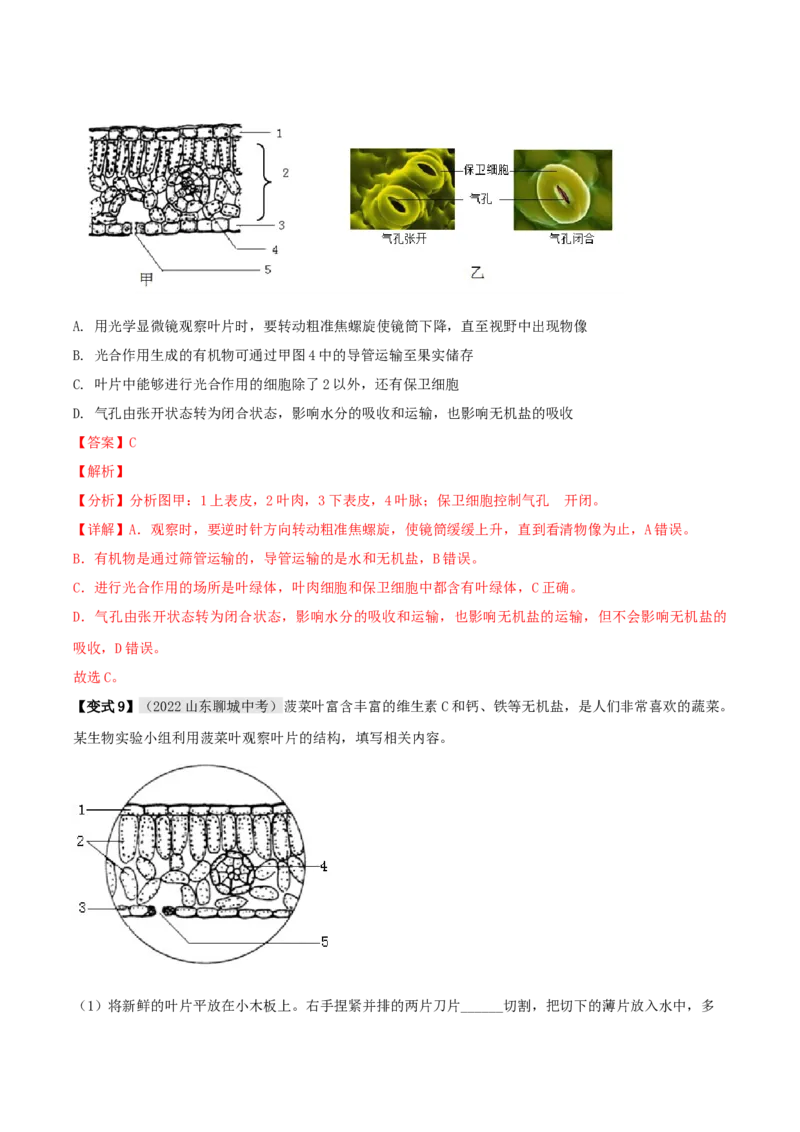 专题09绿色植物与生物圈的水循环（解析版）_6生物中考复习_2023年中考复习资料_专项复习_2023年中考生物总复习真题探究与变式训练（全国通用）