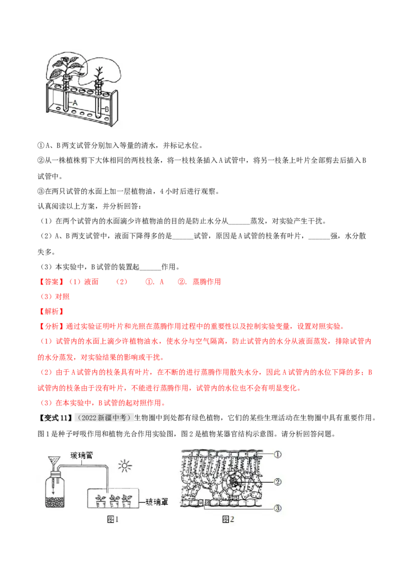 专题09绿色植物与生物圈的水循环（解析版）_6生物中考复习_2023年中考复习资料_专项复习_2023年中考生物总复习真题探究与变式训练（全国通用）