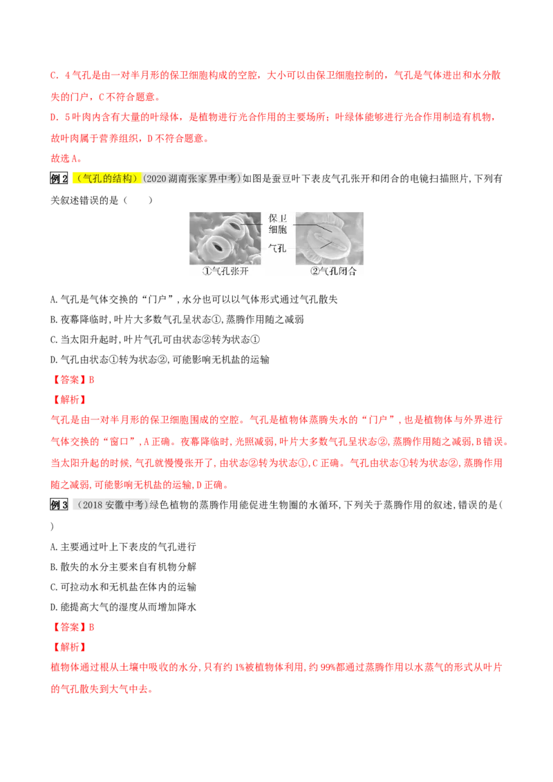 专题09绿色植物与生物圈的水循环（解析版）_6生物中考复习_2023年中考复习资料_专项复习_2023年中考生物总复习真题探究与变式训练（全国通用）