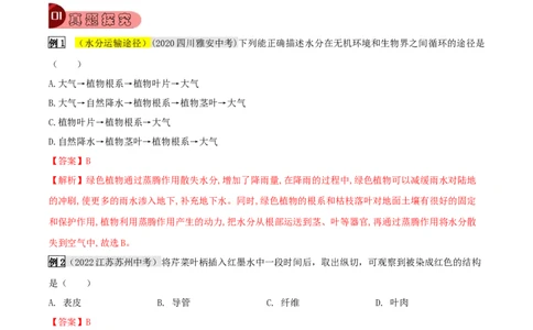 专题09绿色植物与生物圈的水循环（解析版）_6生物中考复习_2023年中考复习资料_专项复习_2023年中考生物总复习真题探究与变式训练（全国通用）