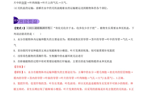 专题09绿色植物与生物圈的水循环（解析版）_6生物中考复习_2023年中考复习资料_专项复习_2023年中考生物总复习真题探究与变式训练（全国通用）