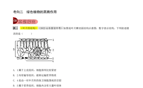专题09绿色植物与生物圈的水循环（解析版）_6生物中考复习_2023年中考复习资料_专项复习_2023年中考生物总复习真题探究与变式训练（全国通用）