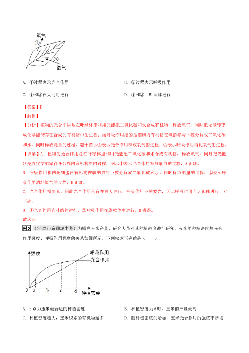 专题10绿色植物与生物圈中的碳&mdash;氧平衡（解析版）_6生物中考复习_2023年中考复习资料_专项复习_2023年中考生物总复习真题探究与变式训练（全国通用）