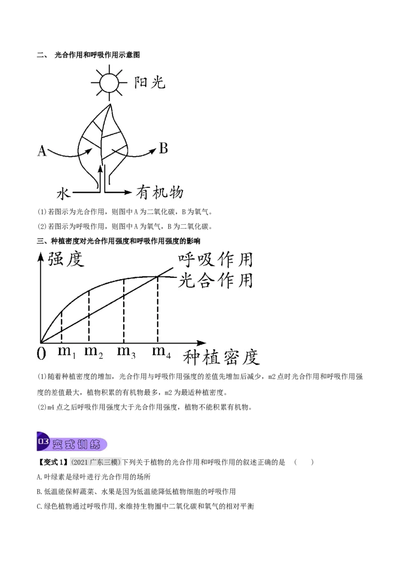 专题10绿色植物与生物圈中的碳&mdash;氧平衡（解析版）_6生物中考复习_2023年中考复习资料_专项复习_2023年中考生物总复习真题探究与变式训练（全国通用）