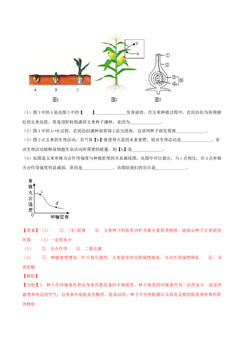 专题10绿色植物与生物圈中的碳&mdash;氧平衡（解析版）_6生物中考复习_2023年中考复习资料_专项复习_2023年中考生物总复习真题探究与变式训练（全国通用）